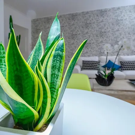 Apartment Nipare - Dimore Partenopee Naples