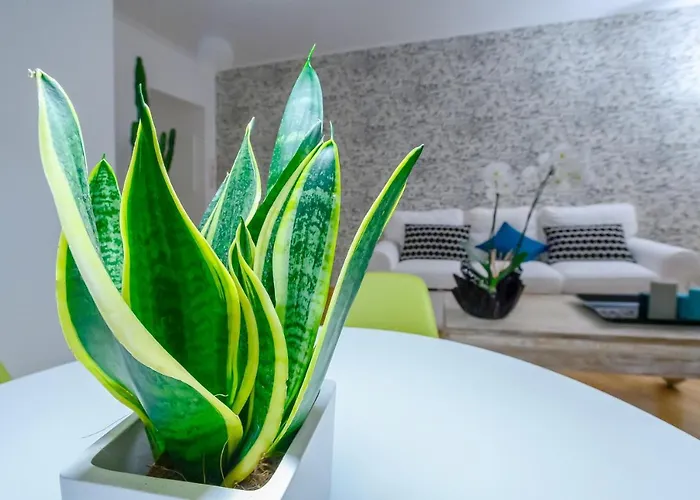 Lejlighed Nipare - Dimore Partenopee Napoli