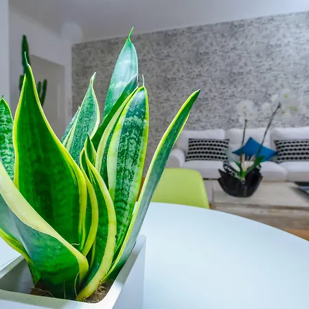 Apartman Nipare - Dimore Partenopee *